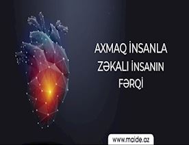 Axmaq-insanla-zəkalı-insanın-fərqi