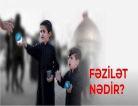 Fəzilət-nədir